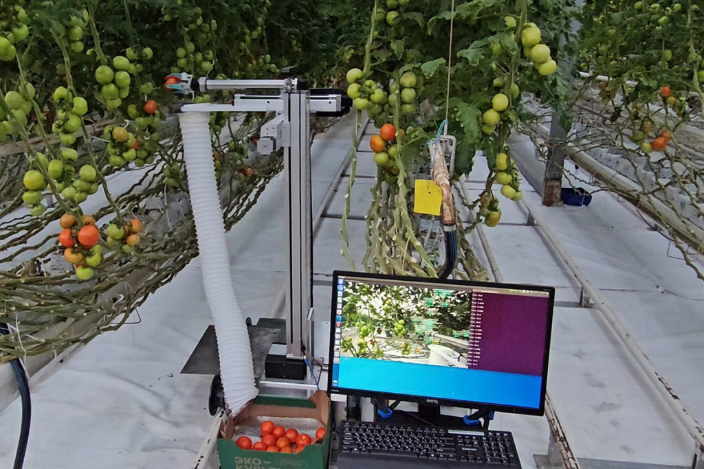 robot-dlya-sborki-urozhaya-v-teplicah-podrobnosti-o-predstavlennoj-prezidentu-rossii-razrabotke-rasskazali-v-skfu-ncfu-ru-01 (3).jpg