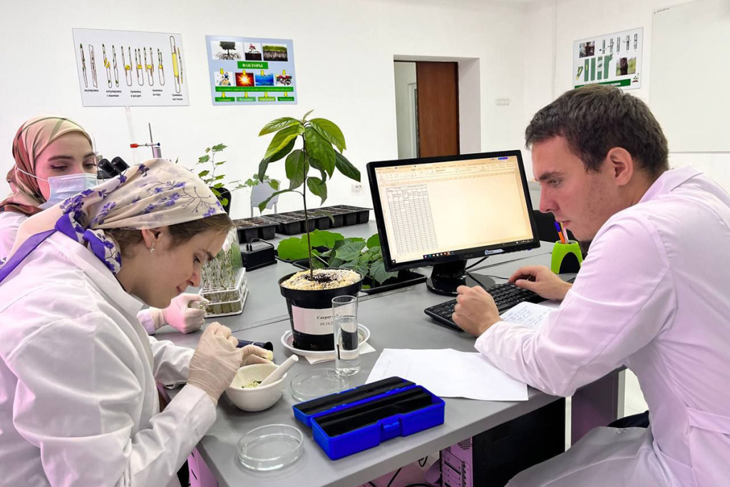 v-chgu-im-a-a-kadyrova-laboratoriya-razrabatyvaet-biotekhnologii-selskohozyajstvennyh-rastenij-dlya-regenerativnogo-zemledeliya-ncfu-ru-01 (2).jpg v-chgu-im-a-a-kadyrova-laboratoriya-razrabatyvaet-biotekhnologii-selskohozyajstvennyh-rastenij-dlya-regenerativnogo-zemledeliya-ncfu-ru-01 (2).jpg